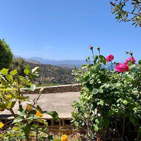 Morea Bay View Tourlotí Dış mekan fotoğraf